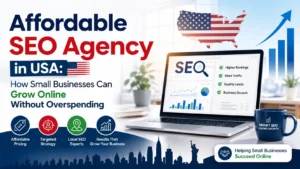 Affordable SEO Agency in USA